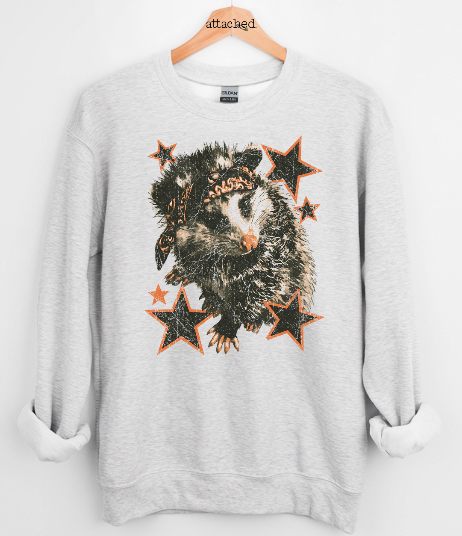 Rad Vintage Opossum Graphic Top