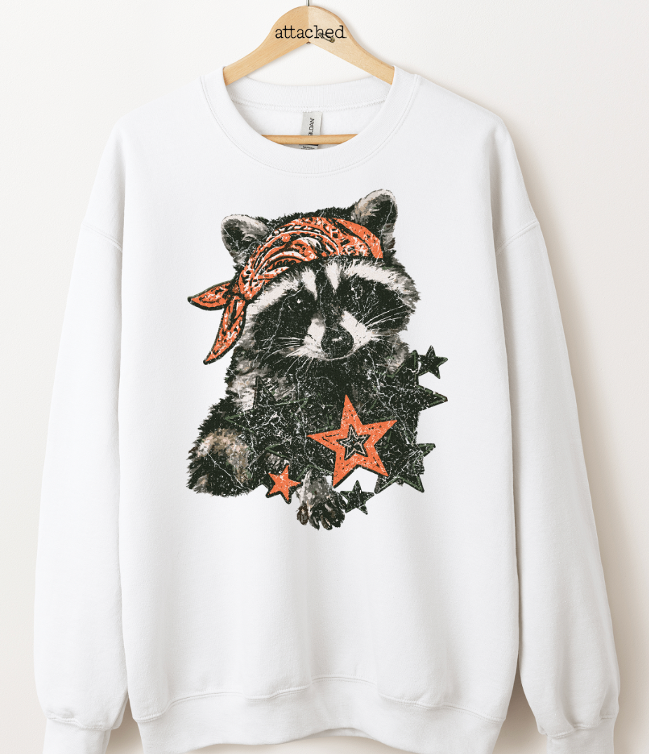 Rad Vintage Raccoon Graphic Top